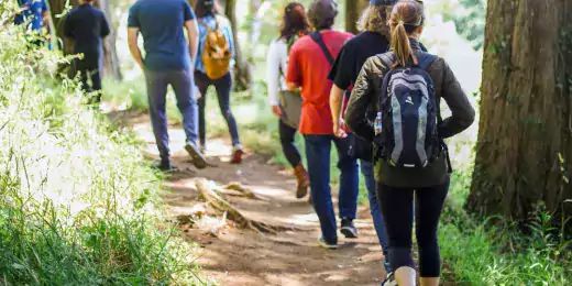 Symbolbild für den elfgenpick Teamtag Die Werbeagentur elfgenpick geht wandern