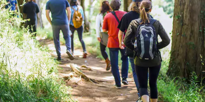 Die Werbeagentur elfgenpick geht wandern