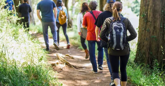 Die Werbeagentur elfgenpick geht wandern